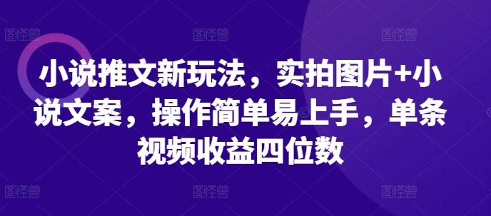 小说推文新玩法，实拍图片+小说文案，操作简单易上手，单条视频收益四位数_生财有道创业网