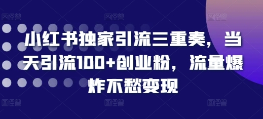 小红书独家引流三重奏，当天引流100+创业粉，流量爆炸不愁变现【揭秘】_生财有道创业网