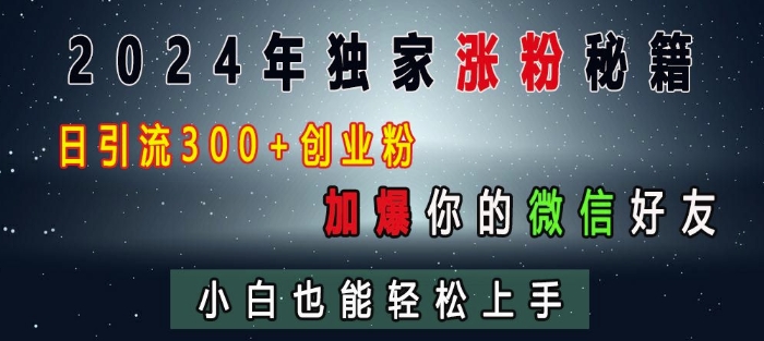 2024年独家涨粉秘籍，日引流300+创业粉，加爆你的微信好友，小白也能轻松上手_生财有道创业网
