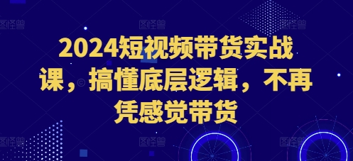 2024短视频带货实战课，搞懂底层逻辑，不再凭感觉带货_生财有道创业网