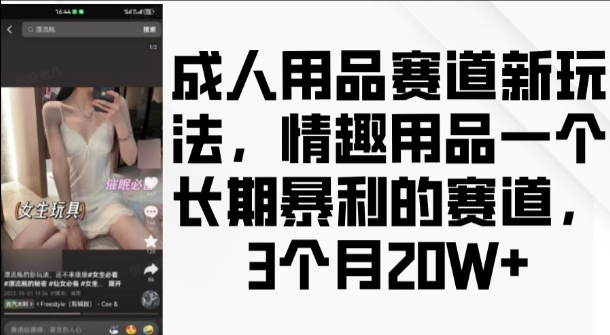 成人用品赛道新玩法，情趣用品一个长期暴利的赛道，3个月收益20个【揭秘】_生财有道创业网