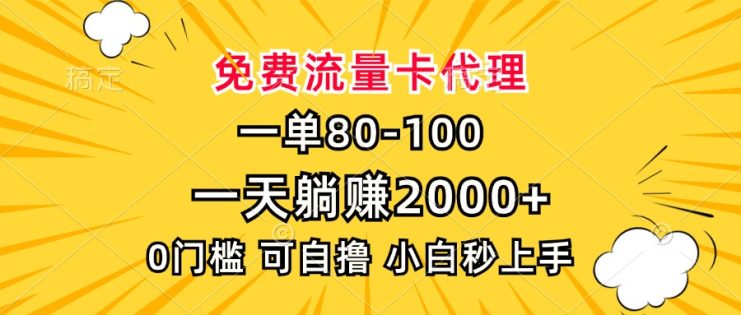 （13551期）一单80，免费流量卡代理，一天躺赚2000+，0门槛，小白也能轻松上手_生财有道创业项目网