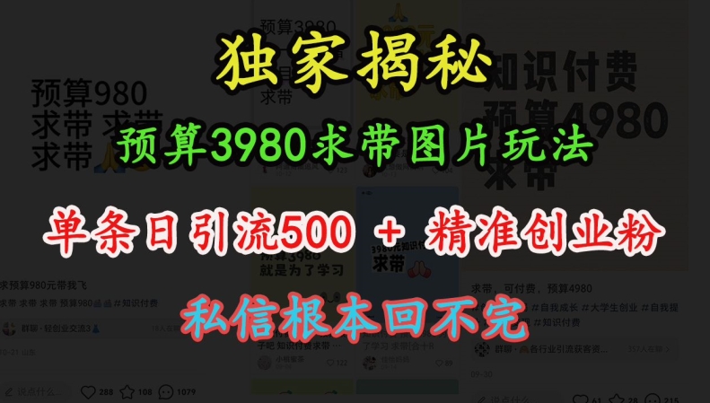 图片[1]-预算3980求带 图片玩法，单条日引流500+精准创业粉，私信根本回不完_生财有道创业网-生财有道