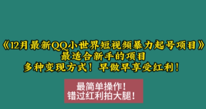 12月最新QQ小世界短视频暴力起号项目，最适合新手的项目，多种变现方式_生财有道创业网