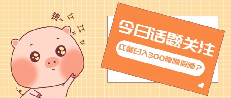 （13622期）全新红薯浏览，打破常规 双端操作，每天运行6小时，让你获得工作以外的…_生财有道创业项目网