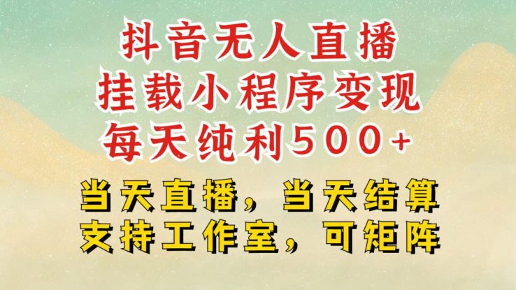 抖音无人挂机项目，轻松日入500+,挂载小程序玩法，不违规不封号，有号的一定挂起来_生财有道创业网