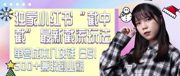 最新小红书截流玩法 独家截中截 单号成本几块钱 日引500+CY粉JZ粉_生财有道创业网