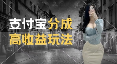 支付宝分成计划新玩法，利用交通事故视频，赚收益，轻松月入过W，操作简单【揭秘】_生财有道创业网