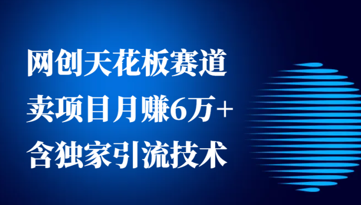 网创天花板赛道，卖项目月赚6万+，含独家引流技术（共26节课）_生财有道创业网