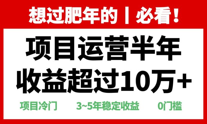 （13663期）年前过肥年的必看的超冷门项目，半年收益超过10万+，_生财有道创业项目网