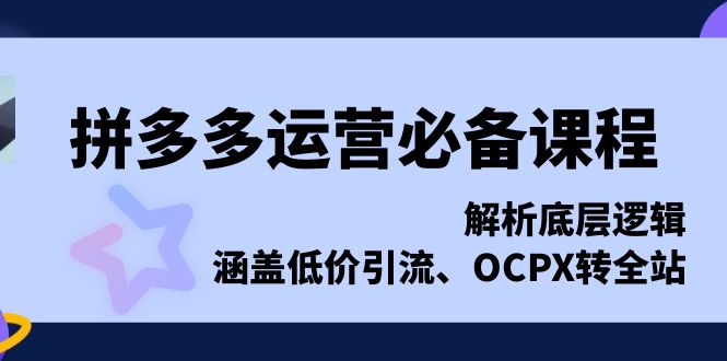 （13700期）拼多多运营必备课程，解析底层逻辑，涵盖低价引流、OCPX转全站_生财有道创业项目网
