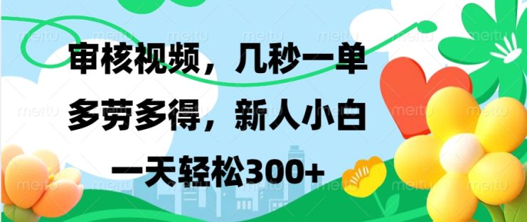 （13719期）视频审核，新手可做，多劳多得，新人小白一天轻松300+_生财有道创业项目网