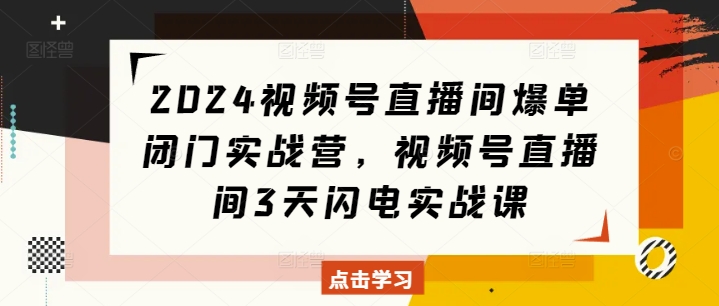 2024视频号直播间爆单闭门实战营，视频号直播间3天闪电实战课_生财有道创业网