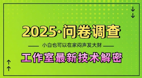 2025问卷调查最新工作室技术解密：一个人在家也可以闷声发大财，小白一天2张，可矩阵放大【揭秘】_生财有道创业网