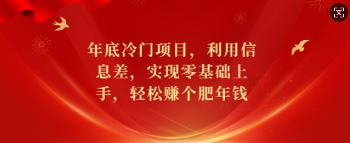 年底冷门项目，利用信息差，实现零基础上手，轻松赚个肥年钱【揭秘】_生财有道创业网