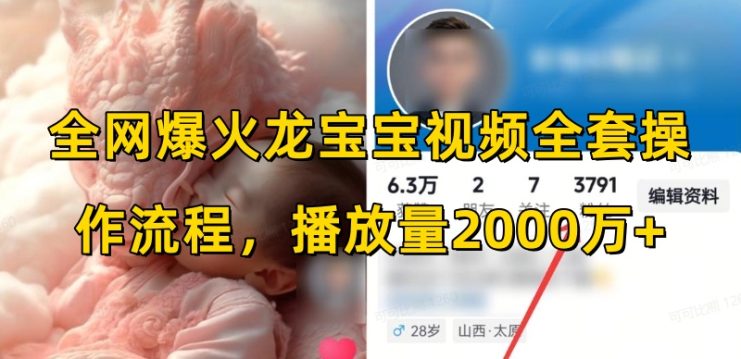 全网爆火龙宝宝视频全套操作流程，播放量2000万+_生财有道创业网