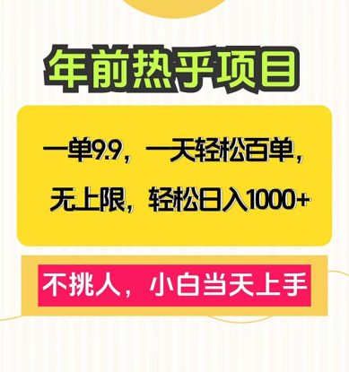 （13795期）一单9.9，一天百单无上限，不挑人，小白当天上手，轻松日入1000+_生财有道创业项目网