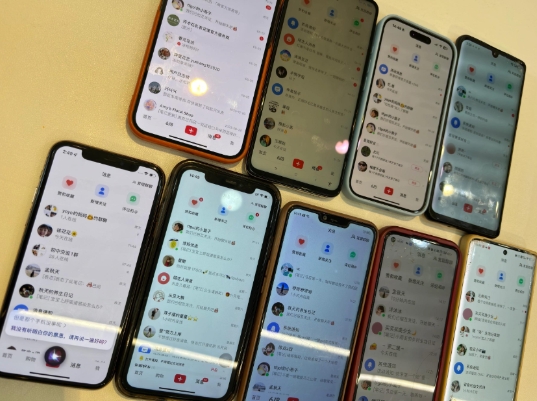 首发揭秘小红书私域日引500+创业粉四大模板，月入过W+全程干货!没有废话!保姆教程!_生财有道创业网