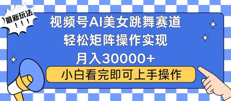 （13813期）视频号蓝海赛道玩法，当天起号，拉爆流量收益，小白也能轻松月入30000+_生财有道创业项目网