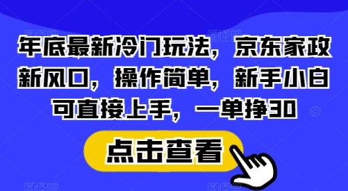 年底最新冷门玩法，京东家政新风口，操作简单，新手小白可直接上手，一单挣30【揭秘】_生财有道创业网