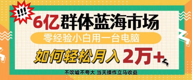 6亿群体蓝海市场，零经验小白用一台电脑，如何轻松月入过w【揭秘】——生财有道创业项目网