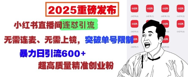 2025重磅发布：小红书直播间连怼引流，无需连麦、无需上镜，突破单号限制，暴力日引流600+——生财有道创业项目网