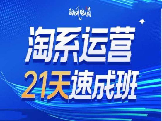 淘系运营21天速成班35期，年前最后一波和2025方向——生财有道创业项目网