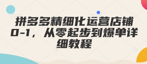 拼多多精细化运营店铺0-1，从零起步到爆单详细教程——生财有道创业项目网