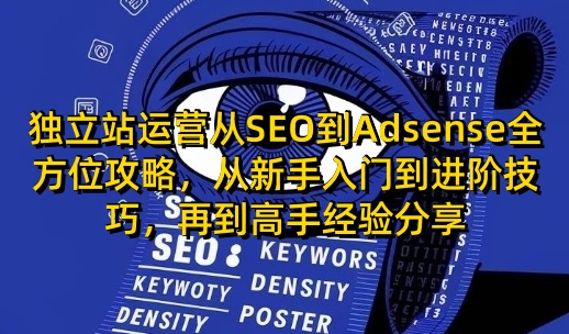 独立站运营从SEO到Adsense全方位攻略，从新手入门到进阶技巧，再到高手经验分享——生财有道创业项目网