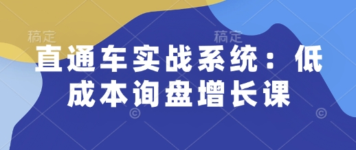 直通车实战系统：低成本询盘增长课，让个人通过技能实现升职加薪，让企业低成本获客，订单源源不断——生财有道创业项目网