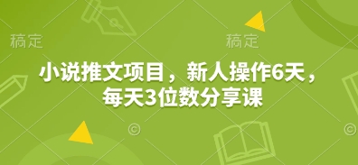 小说推文项目，新人操作6天，每天3位数分享课——生财有道创业项目网