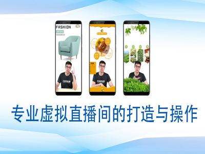 个人虚拟直播间的搭建与操作，专业虚拟直播间的打造与操作——生财有道创业项目网