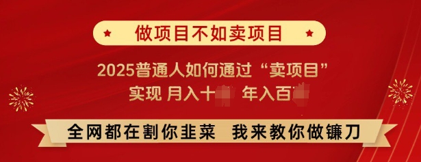 必看，做项目不如卖项目，2025普通人如何通过“卖项目”实现月入十个，年入百个——生财有道创业项目网