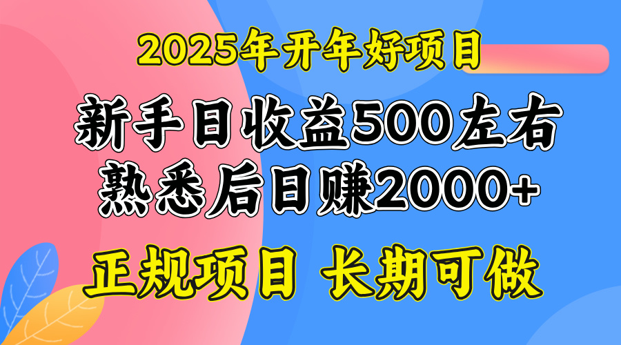 图片[1]-（14076期）2025开年好项目，单号日收益2000左右_生财有道创业项目网-生财有道