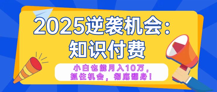 （14166期）2025逆袭项目——知识付费，小白也能月入10万年入百万，抓住机会彻底翻…_生财有道创业项目网