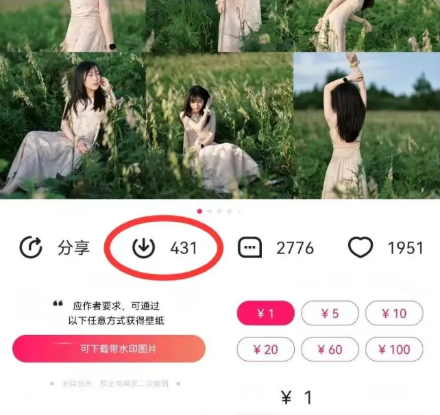 图片[2]-最新图虫搬运项目，收益无上限，利用AI小白也可日赚500+_生财有道创业网-生财有道