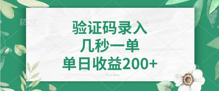 （14221期）验证码录入，几秒一单，单日收益200+_生财有道创业项目网
