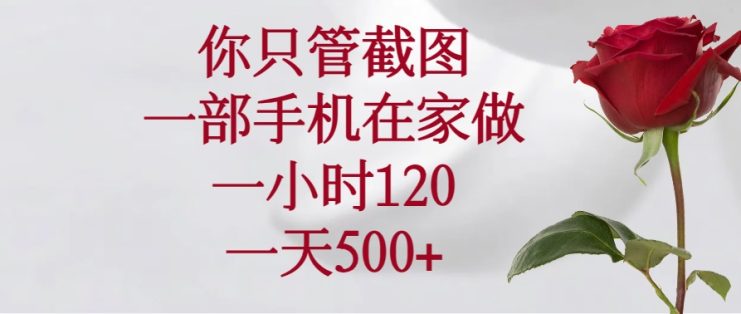 （14248期）你只管截图，一部手机在家做，一小时120，一天500+_生财有道创业项目网