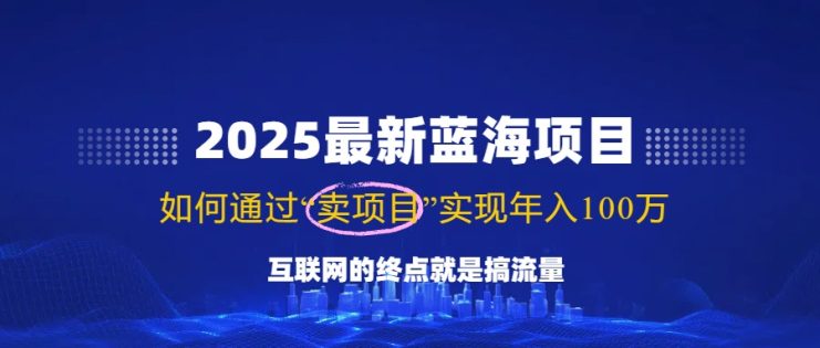 （14305期）2025最新蓝海项目，零门槛轻松复制，月入10万+，新手也能操作！_生财有道创业项目网