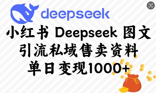 小红书Deepseek图文引流私域售卖资料，单日变现多张——生财有道创业项目网
