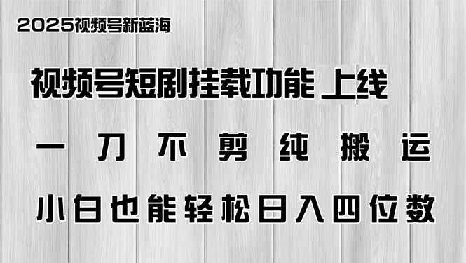 （14310期）视频号短剧挂载功能上线，一刀不剪纯搬运，小白也能轻松日入四位数_生财有道创业项目网