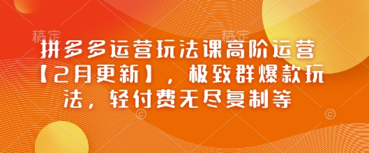 拼多多运营玩法课高阶运营【2月更新】，极致群爆款玩法，轻付费无尽复制等——生财有道创业项目网