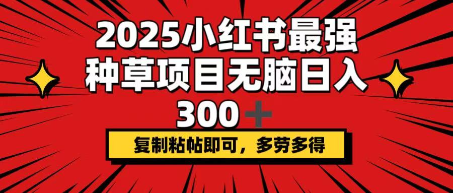 图片[1]-（14375期）2025小红书最强种草项目，无脑日入300+，复制粘帖即可，多劳多得_生财有道创业项目网-生财有道