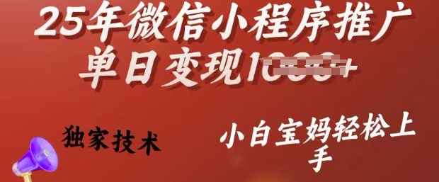 25年微信小程序推广单日变现多张，独家技术，小白宝妈轻松上手【揭秘】——生财有道创业项目网