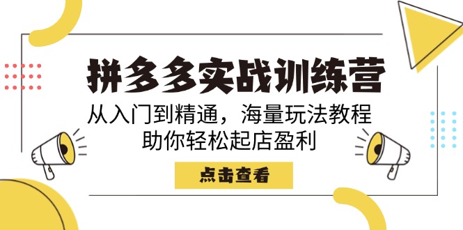 （14392期）拼多多实战训练营，从入门到精通，海量玩法教程，助你轻松起店盈利_生财有道创业项目网