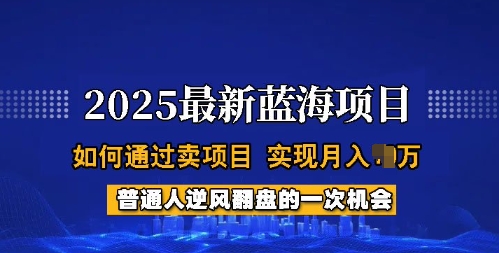 2025蓝海项目，普通人如何通过卖项目，实现月入过W，全过程【揭秘】——生财有道创业项目网