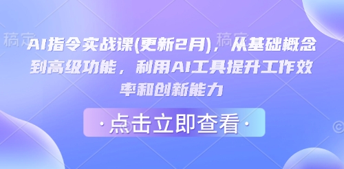 AI指令实战课(更新2月)，从基础概念到高级功能，利用AI工具提升工作效率和创新能力——生财有道创业项目网