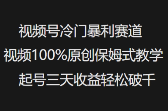 视频号冷门暴利赛道视频100%原创保姆式教学起号三天收益轻松破千——生财有道创业项目网