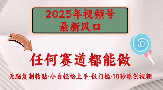 （14453期）2025年视频号新风口，低门槛只需要无脑执行_生财有道创业项目网