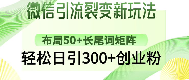 （14451期）微信引流裂变新玩法：布局50+长尾词矩阵，轻松日引300+创业粉_生财有道创业项目网